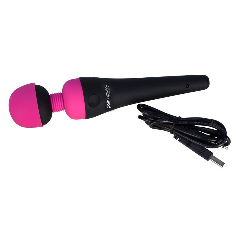 PalmPower Massage Wand Recharge Waterproof