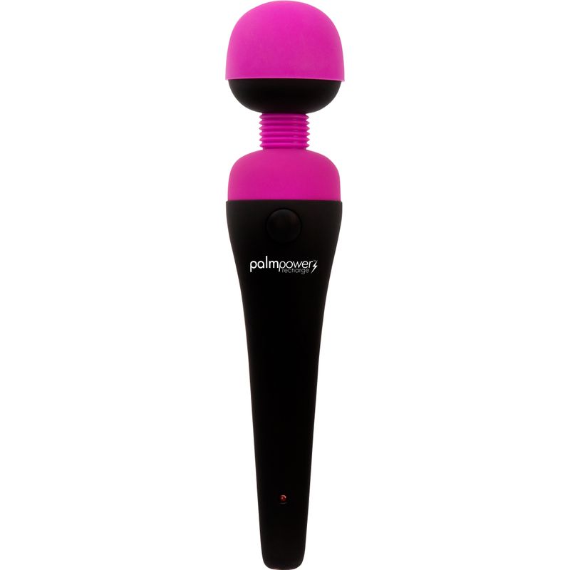 PalmPower Massage Wand Recharge Waterproof