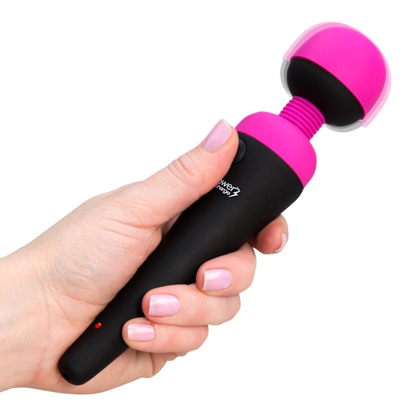 PalmPower Massage Wand Recharge Waterproof