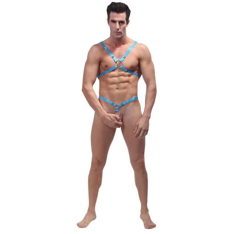 Male Power Rip Off Harness Set