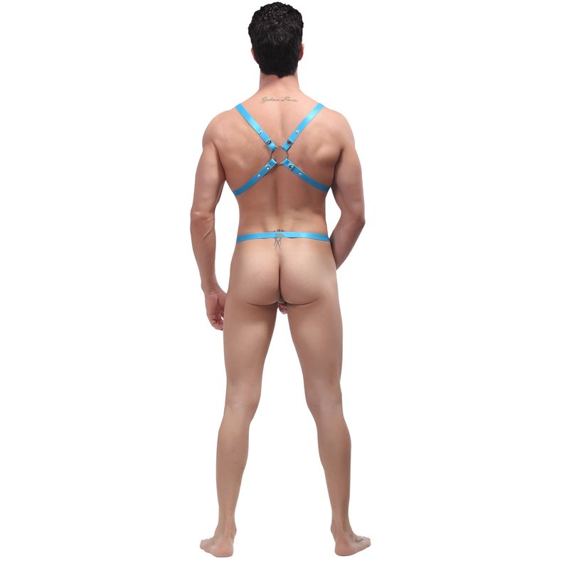 Male Power Rip Off Harness Set