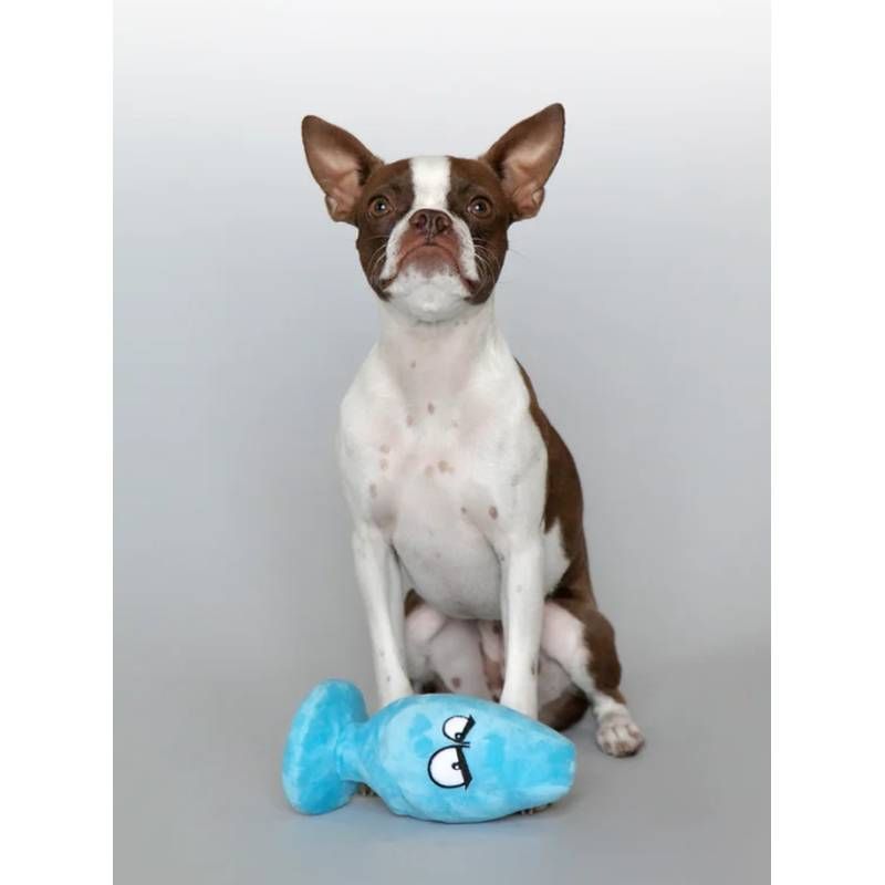 Scruffy Pet Toys McRuff Butt Plug