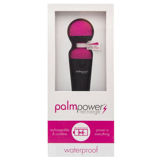 PalmPower Massage Wand Recharge Waterproof